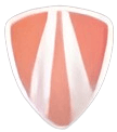 FM Painting Logo